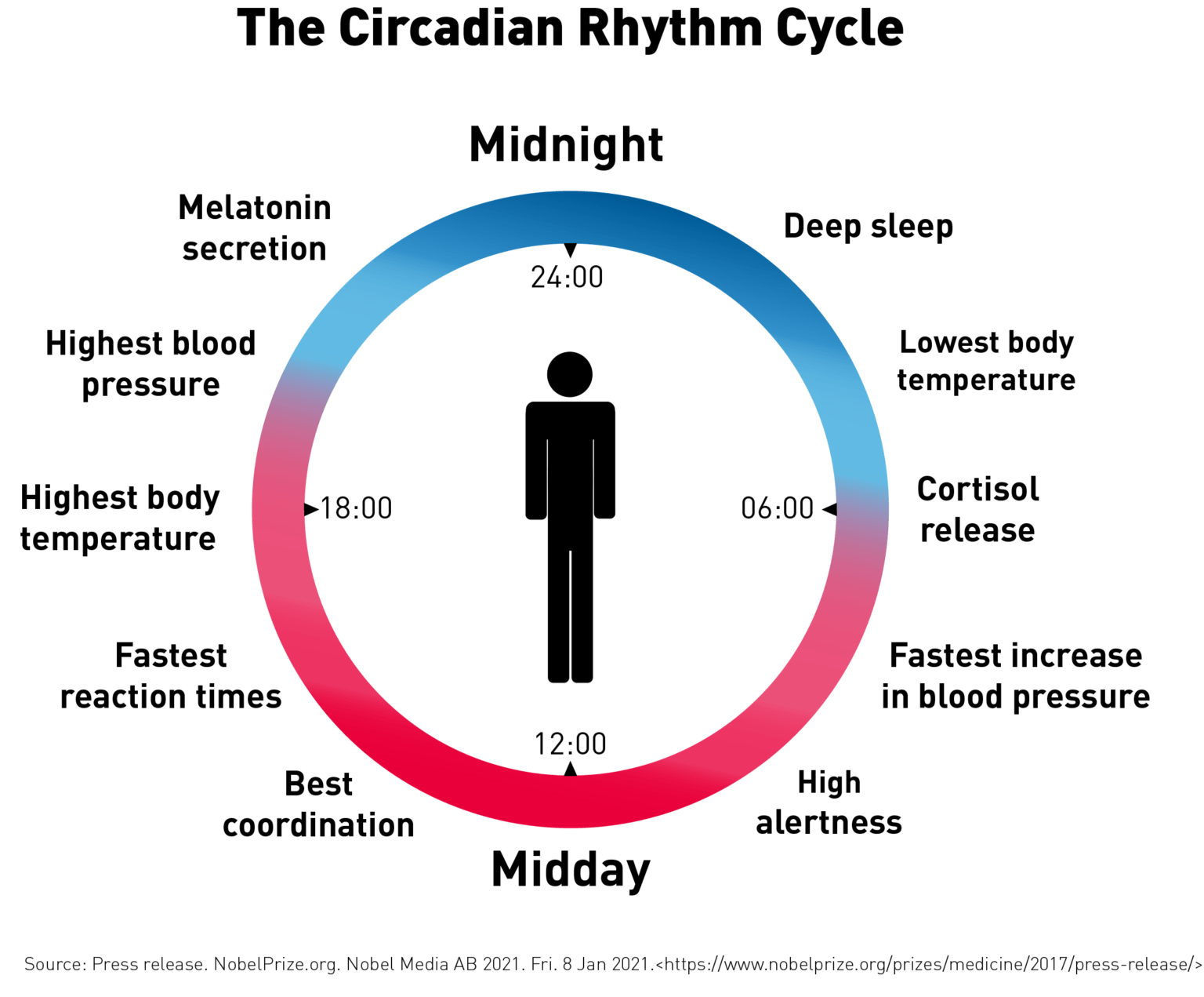 Circadian Rhythms What Are Circadian Rhythms Good Shepherd News Fastest Growing Religious