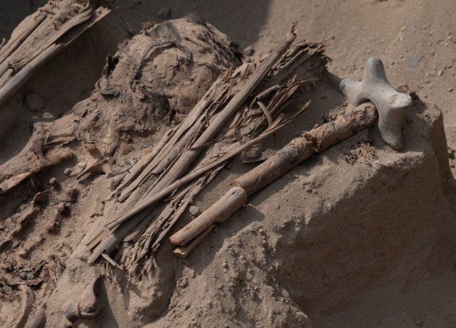 The remains of a man believed to be an ancient warrior, buried lying on reeds with a club or stone mallet next to him, are seen in a street where a pre-Hispanic cemetery was discovered by gas-line laying workers in Carabayllo, Peru, on September 27, 2022. - A crew of workers excavating a street in Lima to lay gas pipes found a pre-Hispanic cemetery some 800 years old, which also contained pottery vessels and figures. "So far we have found eleven burials of adults and children who were buried in the form of funerary bundles," archaeologist Cecilia Camargo, in charge of protecting the find announced on Tuesday and which occurred a couple of days ago, told AFP.(Photo : Photo by CRIS BOURONCLE/AFP via Getty Images)
