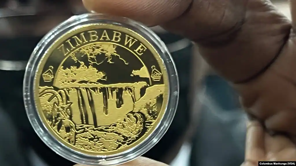 A Reserve Bank of Zimbabwe official displays the newly introduced gold coin in Harare, July 25, 2022.