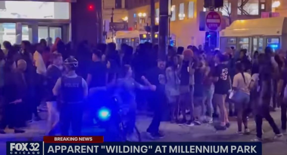‘Teen Takeover’ terrorizes Chicago as hundreds of teenagers destroy ...