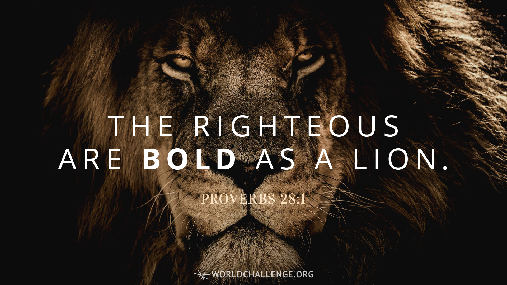 Proverbs 281   The wicked flee when no one pursues, but the righteous are bold as a lion