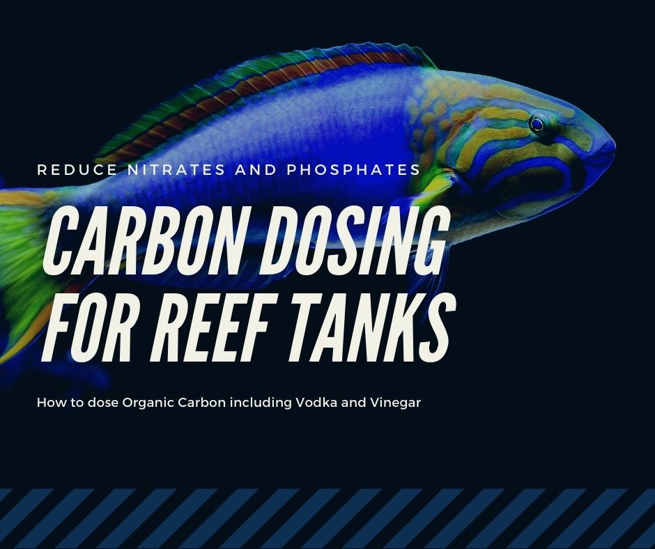 Vodka Dosing Your Reef Tank – Carbon Dosing 101