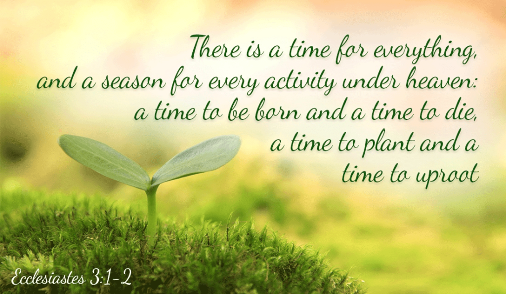 To Everything There is a Season –  Ecclesiastes 3:1